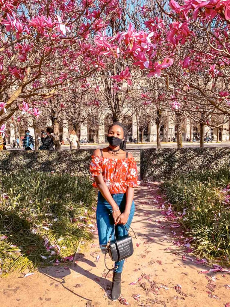 Palais royal is one of the best places to see Cherry Blossom In Paris