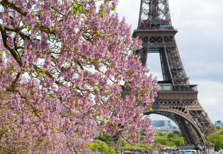 Spring in Paris: What To Do, The Weather, Where To Stay + What To Pack
