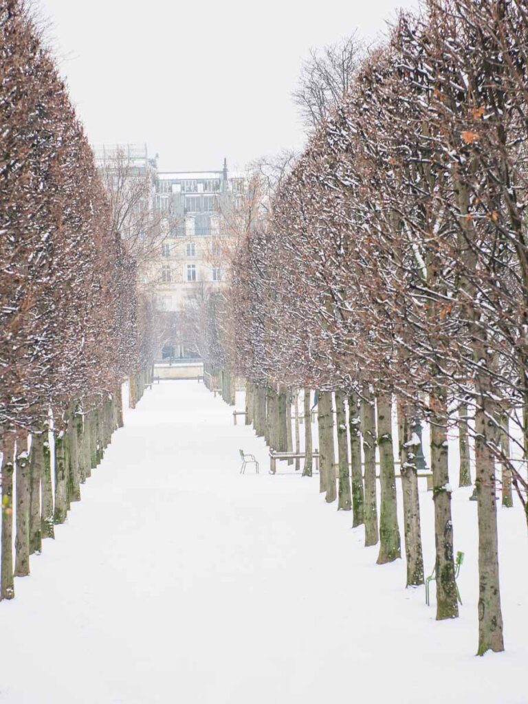 Tuileries gardens during snow