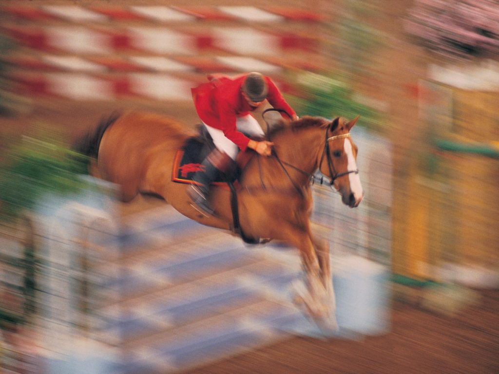 Witnessing the competition at Saut Hermès is one of the cool things to do in Paris in march.