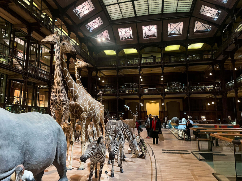 Muséum National d'Histoire Naturelle